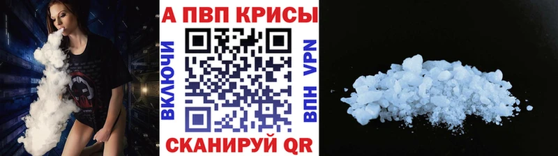 Купить  Артём  A PVP крисы CK 