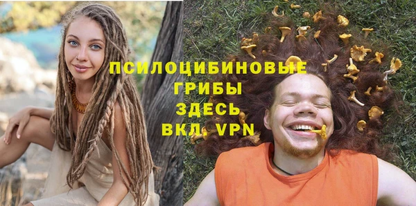 МДПВ Елизово
