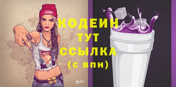 МДПВ Елизово