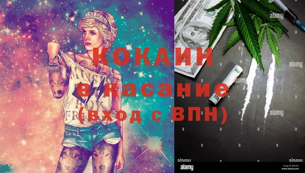 МДПВ Елизово