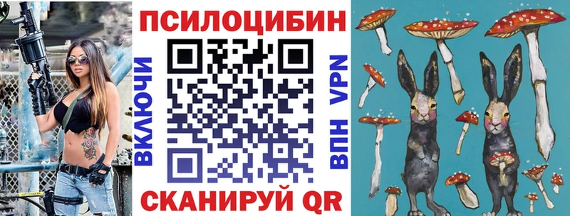 Купить  Артём  Псилоцибиновые грибы Magic Shrooms 