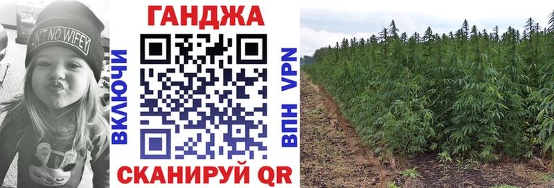 Шишки марихуана конопля  Купить где  Артём 
